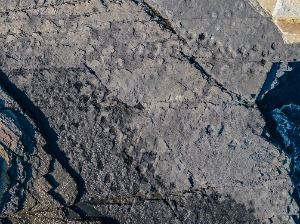 여수_추도(여수) (6)