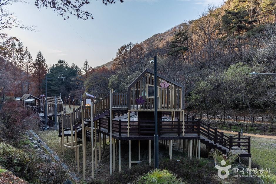 임실_왕의숲 국민여가캠핑장 (10)