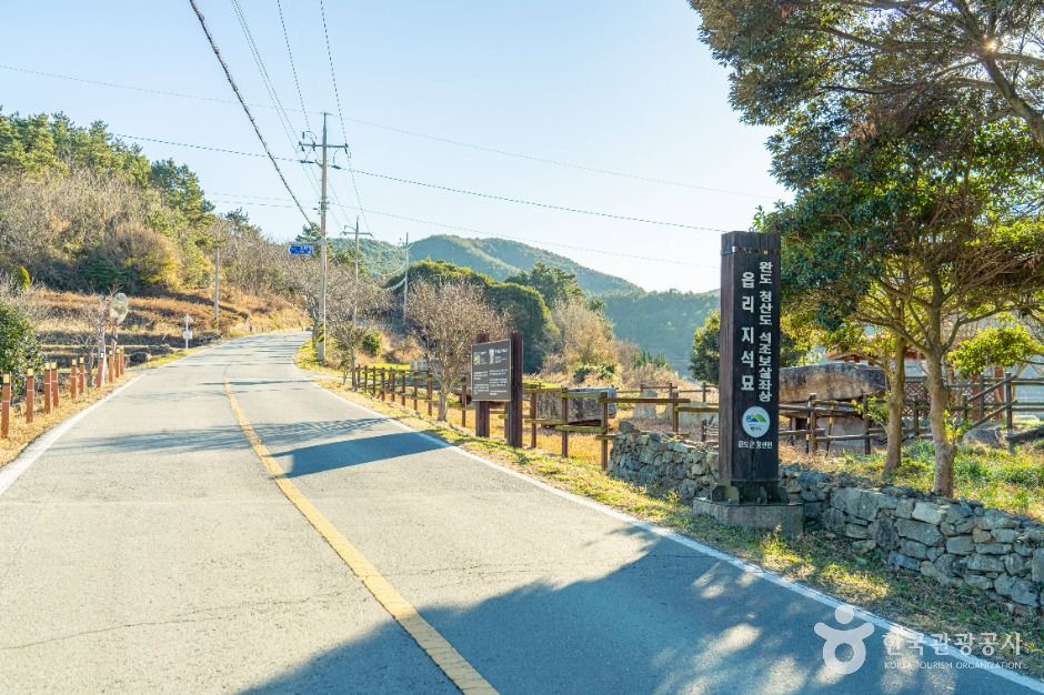 완도_읍리지석묘와 하마비 (9)