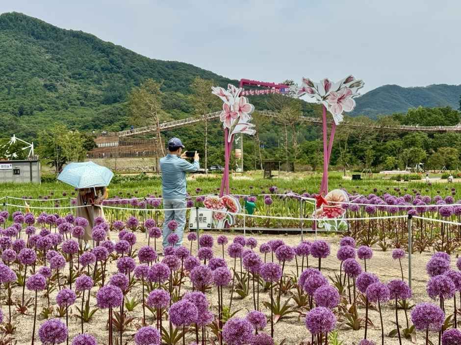 thumbnail-포천 한탄강 가든페스타-3