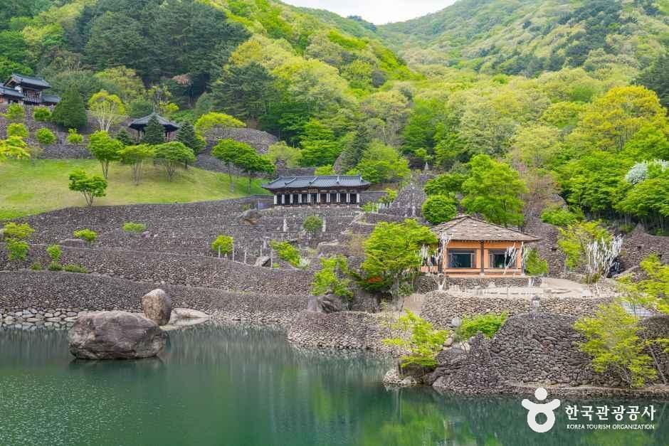 thumbnail-삼성궁-10