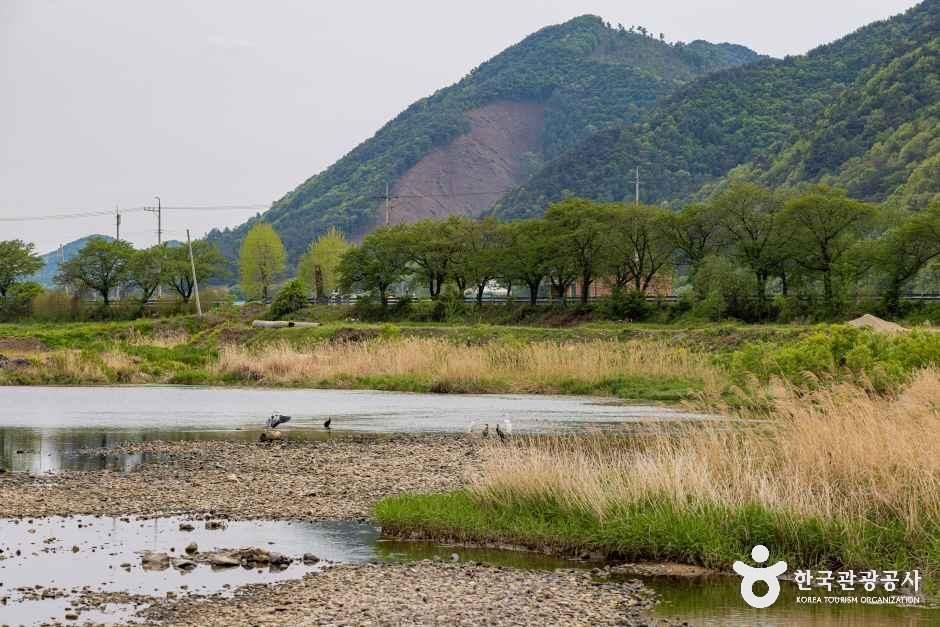 thumbnail-청천수변공원-8