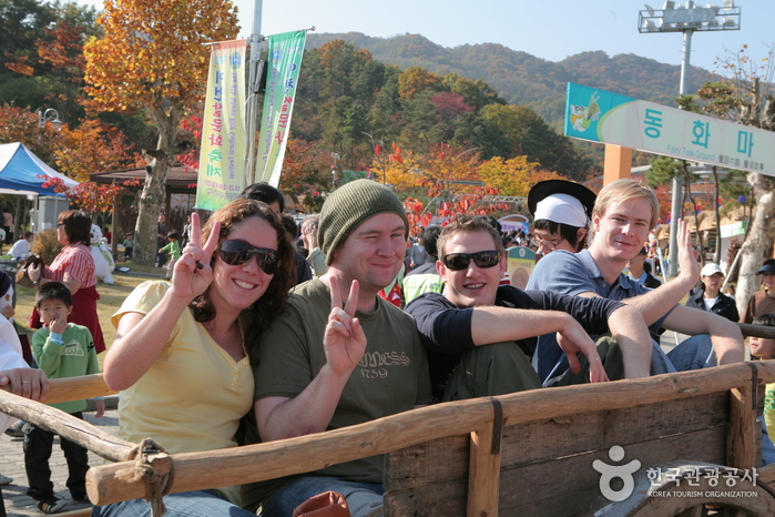 Icheon Rice Cultural Festival (이천쌀문화축제)