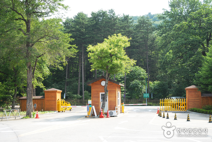 Korea National Arbor...