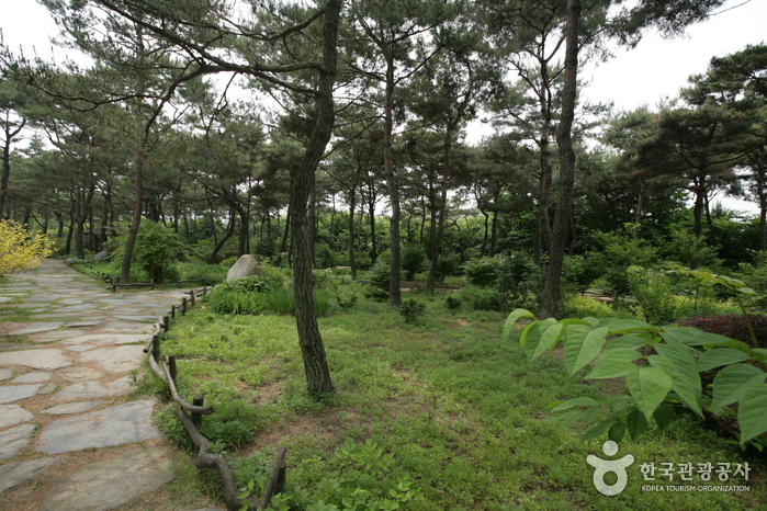 The Botanical Garden BCJ (Byeokchoji) (벽초지 문화수목원)