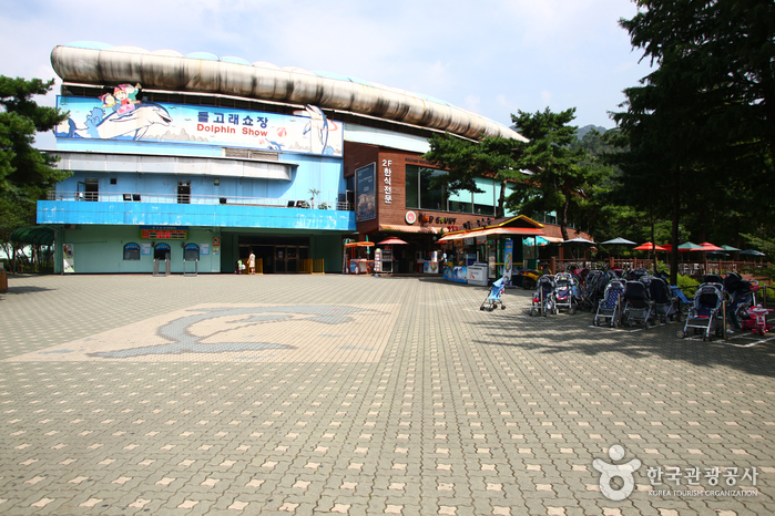 Seoul Grand Park (서울대공원-서울동물원)