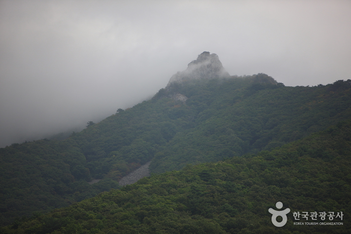 표충사(밀양) 사진19
