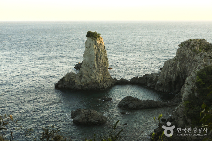 [제주올레 7코스] 서귀포-월평 올레8