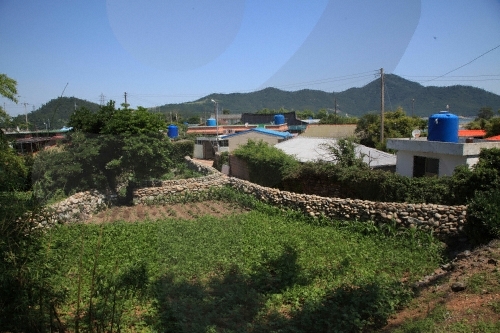 추도 사진2