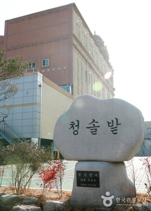 Chungsolbat (청솔밭뷔페)
