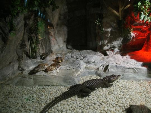 63 Sea World