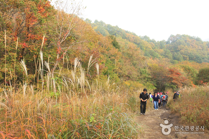 Myeongseongsan Mount...