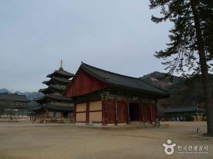 보은 법주사 사진24