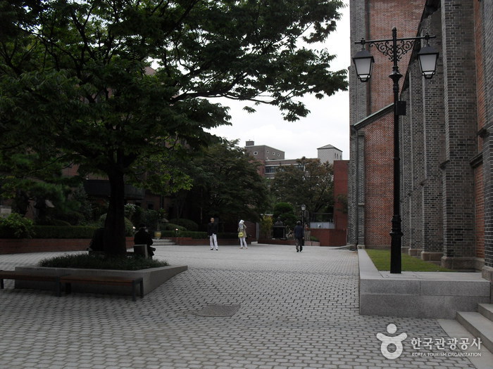 Myeongdong Cathedral (명동성당)