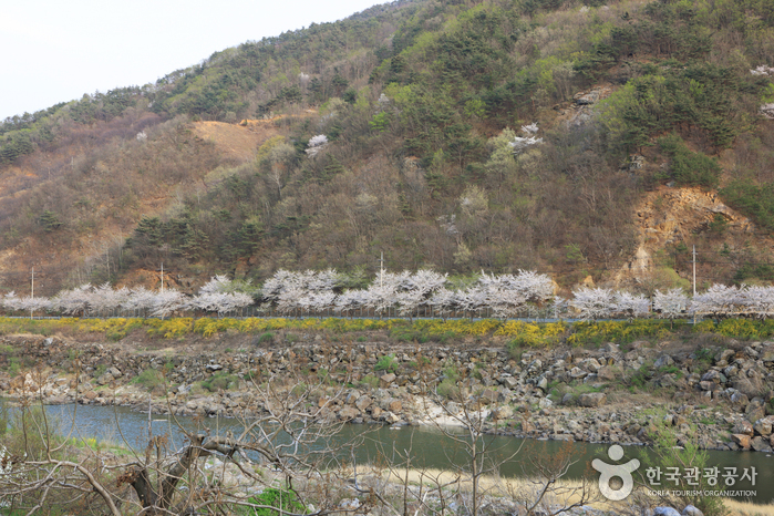 Rivière Seomjingang (섬진강)