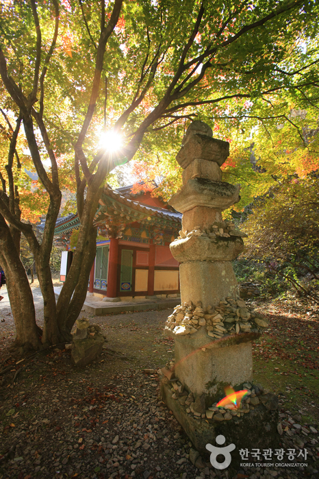 Naejangsa Temple (내장사)