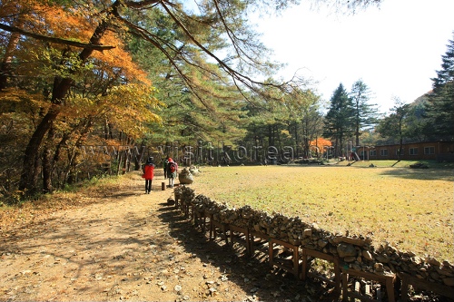Guryongsa Temple (구룡사)