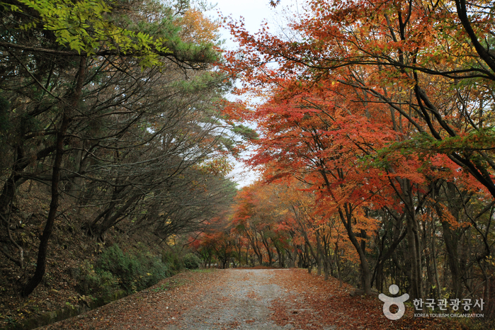 Parc national du Mt. Mudeungsan (무등산국립공원)