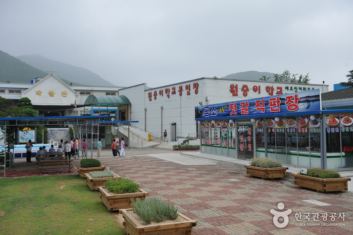 Monkey School (원숭이학교)