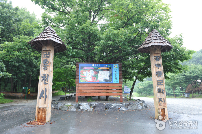 龍泉寺石蒜公園(용천사 꽃무릇공원)