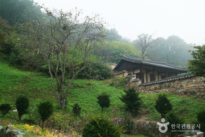 Imcheonggak House (안동 임청각)