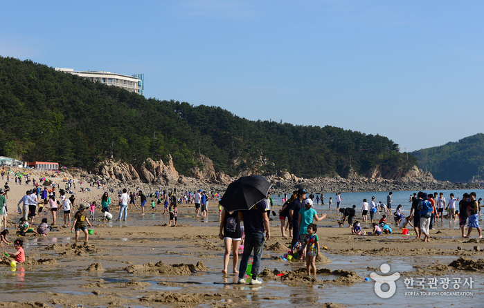Plage de Wangsan (왕산해수욕장)