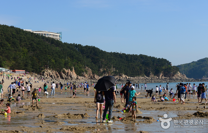 王山海水浴場(왕산해수욕장)