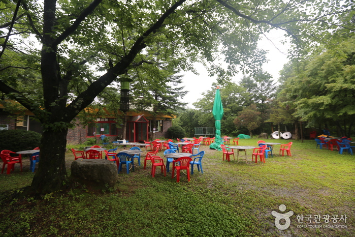 김철우멧돼지마을1