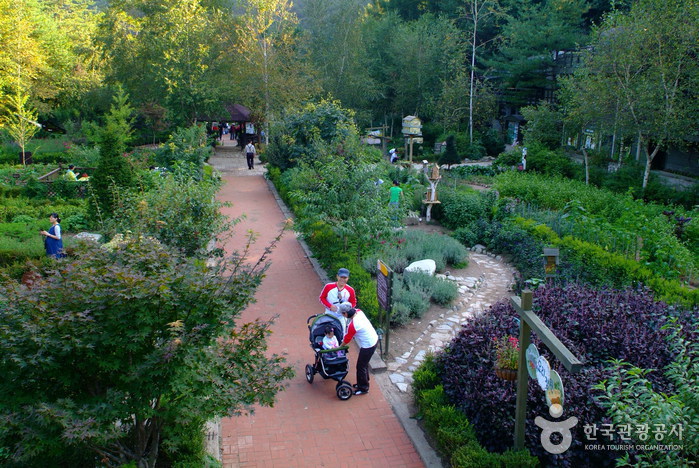 Herbnara Farm (허브나라농원)