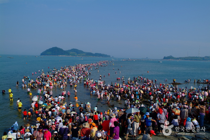 Jindo Mysterious Sea Route (진도 신비의 바닷길)