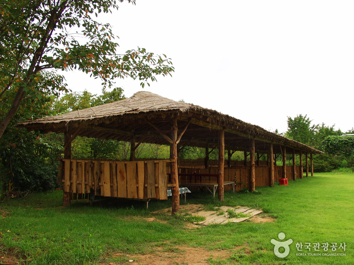 Borinara Hagwon Farm (보리나라 학원농장)
