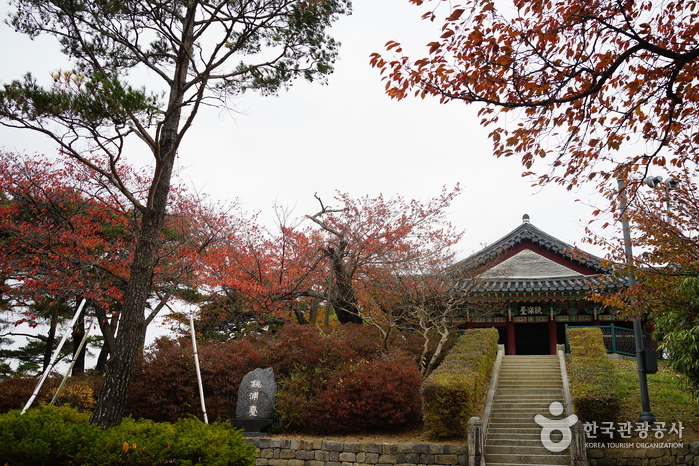 강릉 경포대 사진3