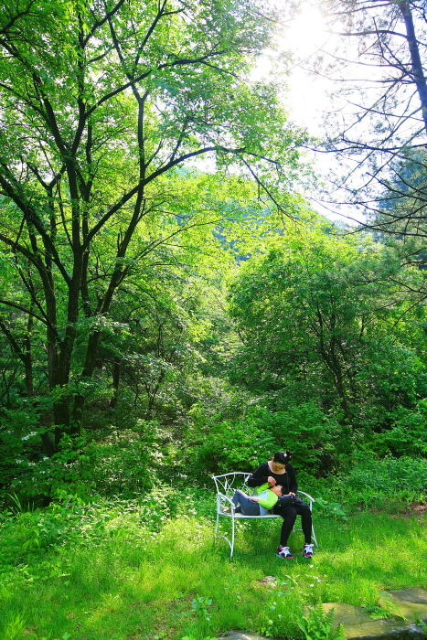 서후리숲에는 곳곳에 흰색의 탁자와 의자가 있어 쉬어가기 좋다.