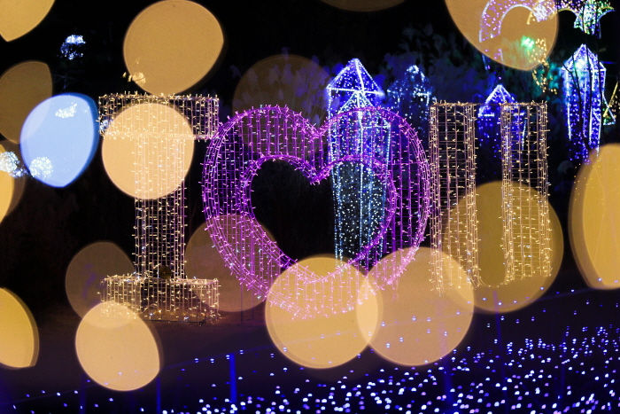 별빛따라 두메향기2