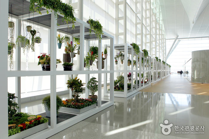 Incheon International Airport Terminal 2