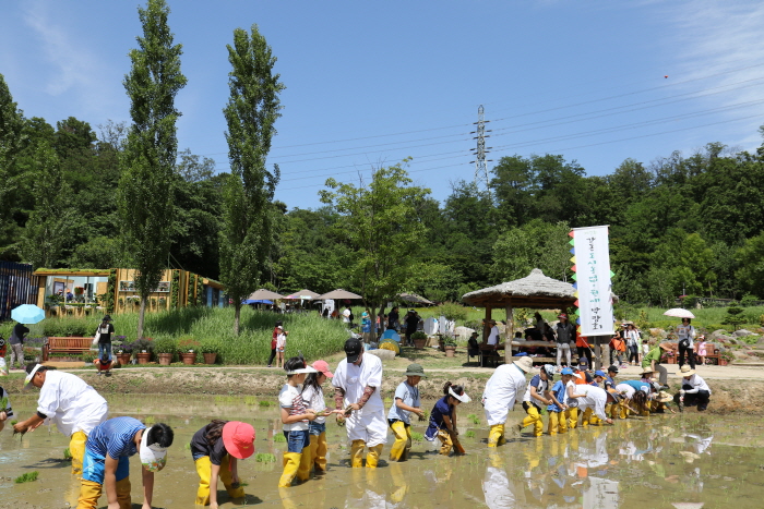 서울도시농업박람회 20190