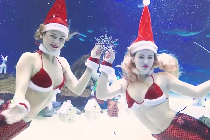 라이프플러스 윈터원더랜드 20183