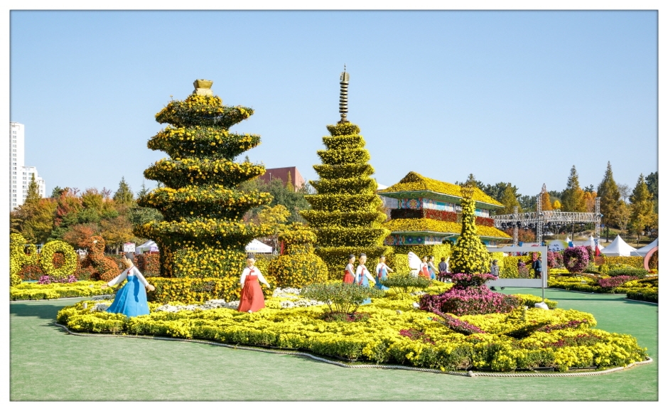 Iksan Festival der 10 Millionen Chrysanthemen (익산천만송이국화축제)