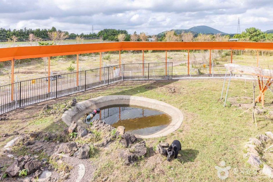 thumbnail-제주자연생태공원-9