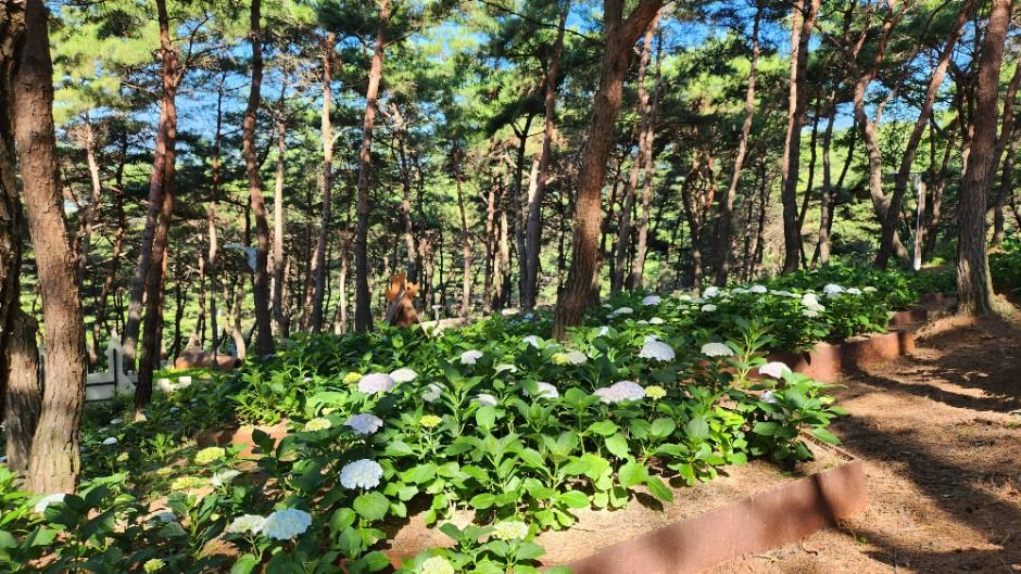 지리산정원