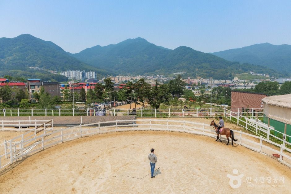 비스타밸리