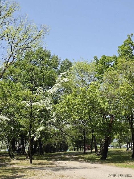 thumbnail-자인계정숲(경산 자인의계정숲)-16