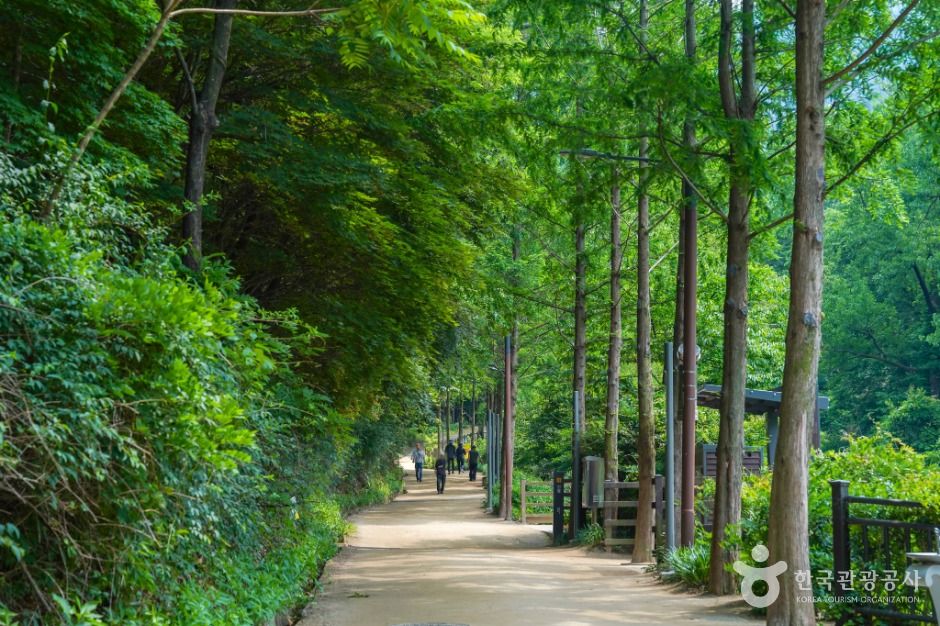 대구_앞산자락길 (6)