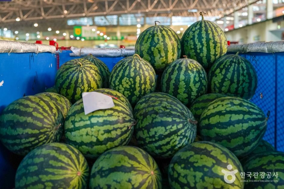 포항_포항시농산물도매시장 (6)