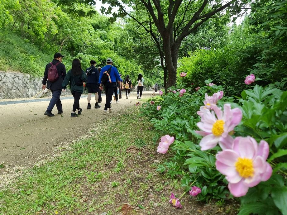 [서울둘레길 15코스] 노을·하늘공원코스