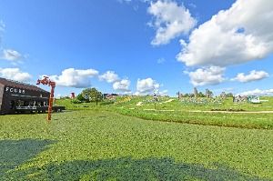 파주 임진각(평화누리공원) (02)