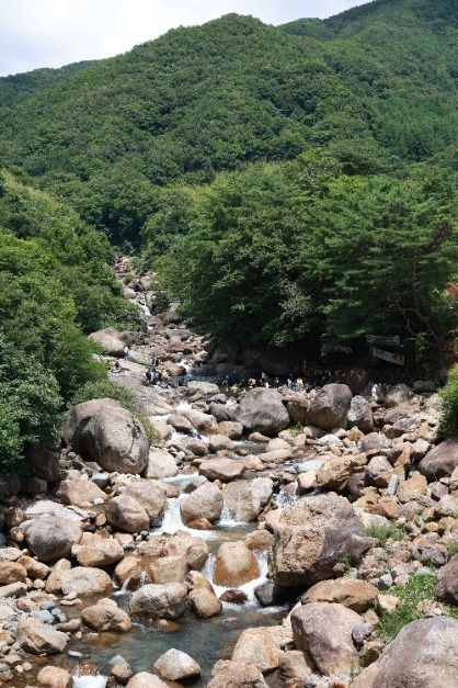 산청_중산리계곡 (5)