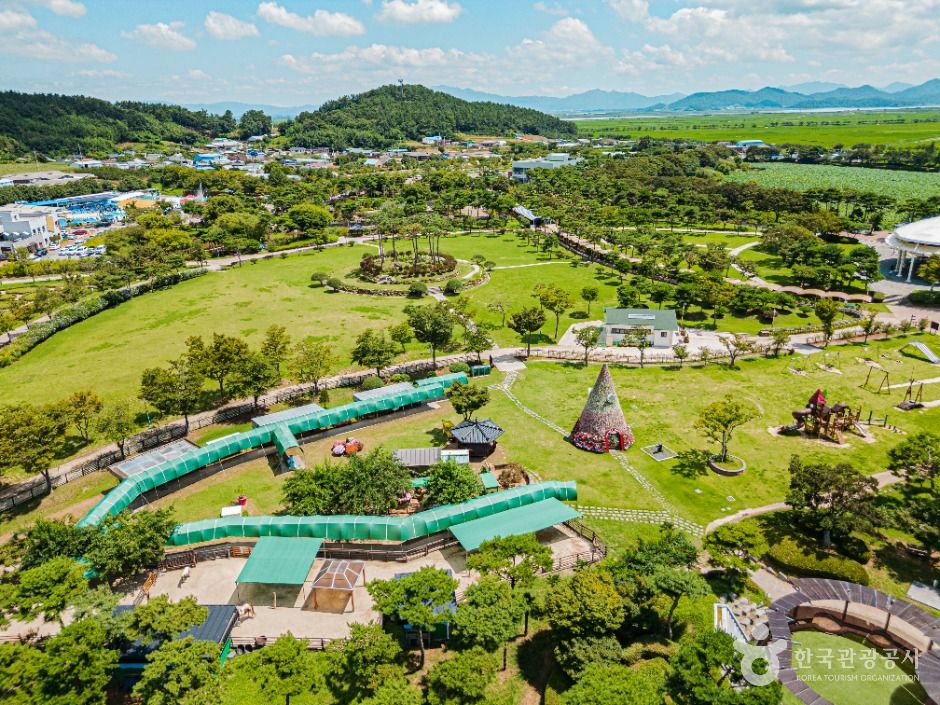 무안 하늘백련마을