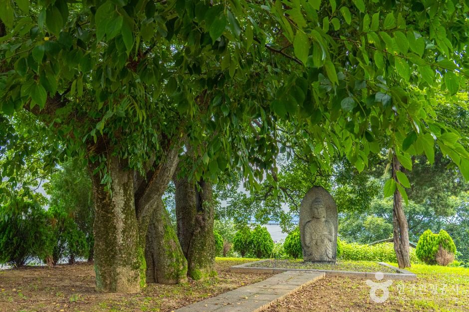 thumbnail-양성 석조여래입상-14