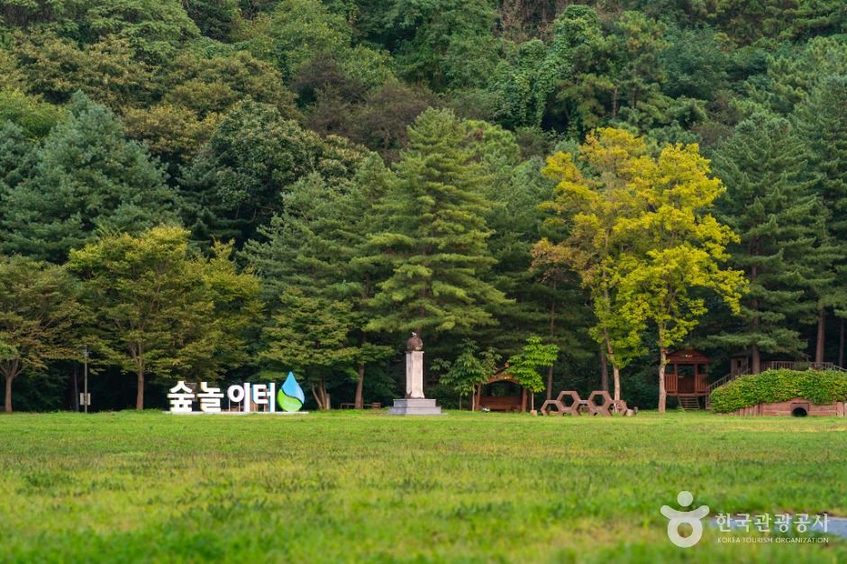 충주_충주댐 (5)